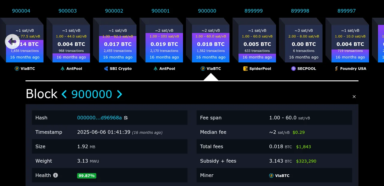 mempool.space showing Bitcoin block 900,000: the row of neighbouring blocks with their miners, and the block's hash, timestamp, size, fees and subsidy