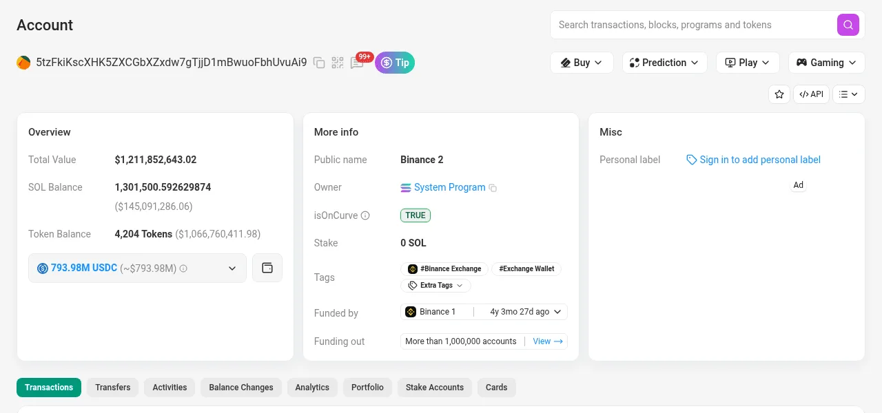 Solscan's account page for a Binance hot wallet: SOL balance, token balance, owner, tags and the transaction tabs
